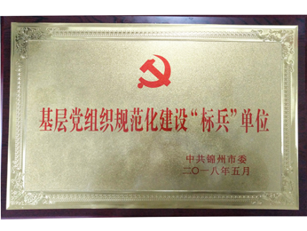 2018基層黨組織規(guī)范化建設(shè)“標(biāo)兵”單位
