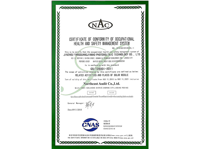 職業(yè)健康安全管理體系認(rèn)證證書（英文）