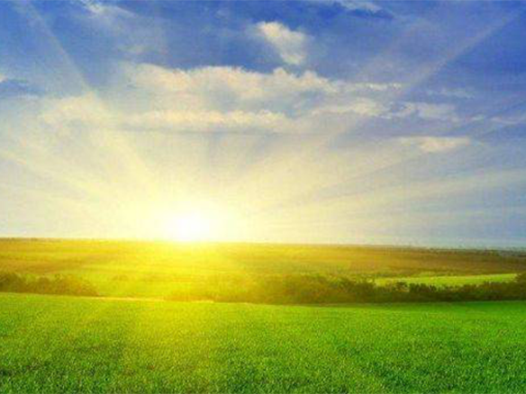 2020H1，錦州陽光戮力同心、運營達滿產(chǎn)