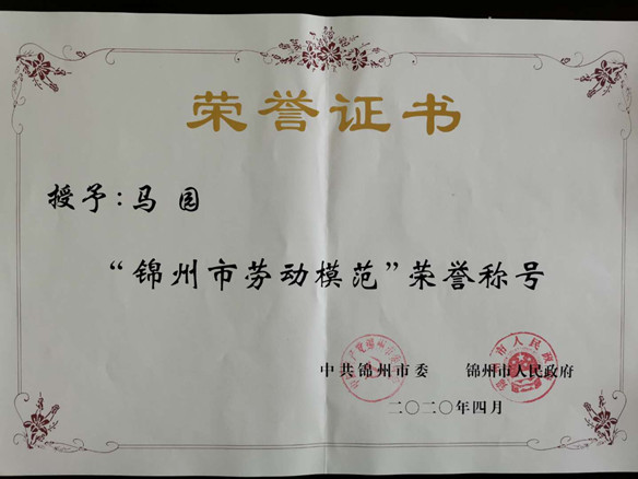 錦州陽光能源有限公司國(guó)內(nèi)銷售部總監(jiān)馬園獲錦州市勞動(dòng)模范