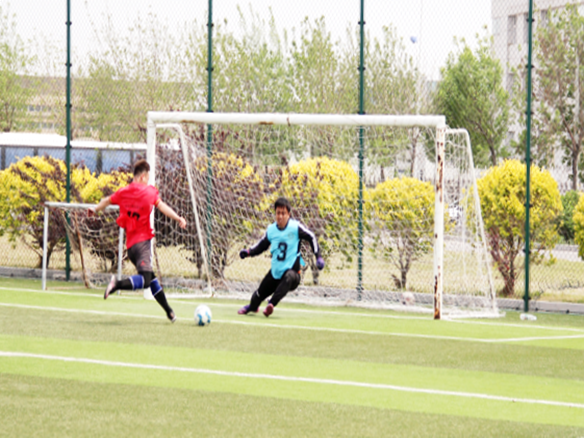 人文陽光 | 燃情綠茵場！陽光能源“陽光杯足球賽”正式開賽