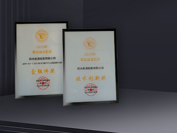 高光時(shí)刻 | 陽(yáng)光能源獲N型TOPCon金組件獎(jiǎng)及技術(shù)創(chuàng)新獎(jiǎng)雙料獎(jiǎng)項(xiàng)