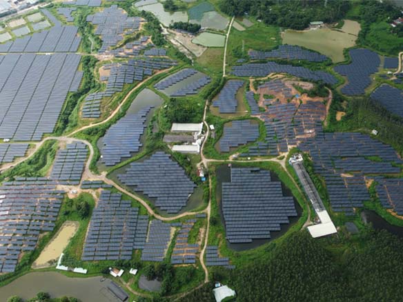 全球足跡 | 抗臺風(fēng)技能拉滿！陽光能源助力廣東省開平市150MW光伏項目實現(xiàn)三重收益