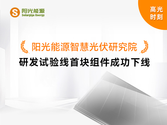 高光時(shí)刻 | 陽(yáng)光能源智慧光伏研究院研發(fā)試驗(yàn)線首塊組件成功下線